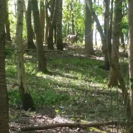 Westhurst Park Bnb Bredon Exteriör bild