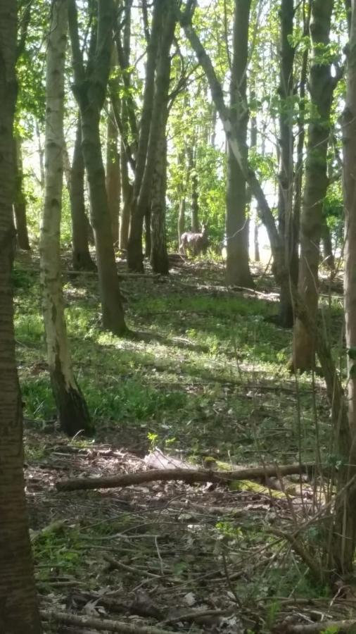 Westhurst Park Bnb Bredon Exteriör bild